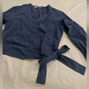 Blue everlane silk top